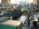 Cloppenburg 2008