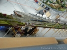Cloppenburg 2008